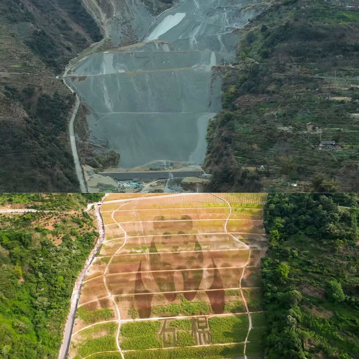 大熊猫国家公园（四川雅安石棉片区）历史遗留废弃矿山生态修复示范工程项目前后对比。四川省自然资源厅供图
