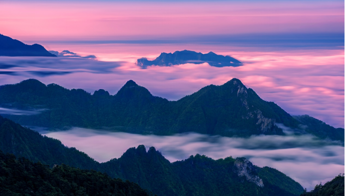 一镜揽山河万象,光影传时代薪火——记摄影家陈金武1510.png