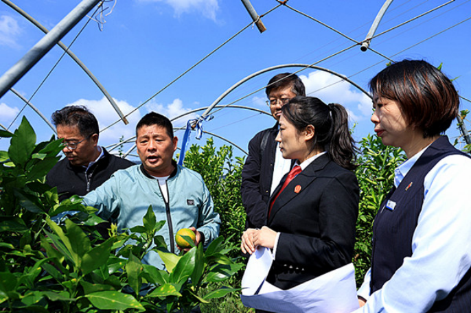 黄石市西塞山区:果园里的“解纷会诊” 司法护航乡村振兴533.png