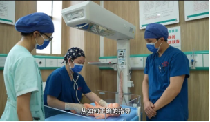 学先进 树典型245.png