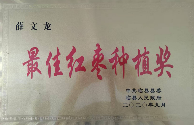 吕梁山下枣林焕新 农旅融合铺就新程 ——山西临县乡村振兴的“古枣密码” 《中华英才》半月刊网山西讯(张振华)361.png