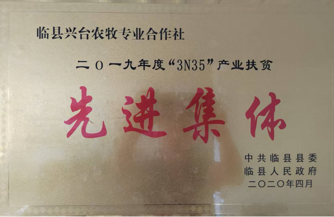 吕梁山下枣林焕新 农旅融合铺就新程 ——山西临县乡村振兴的“古枣密码” 《中华英才》半月刊网山西讯(张振华)565.png