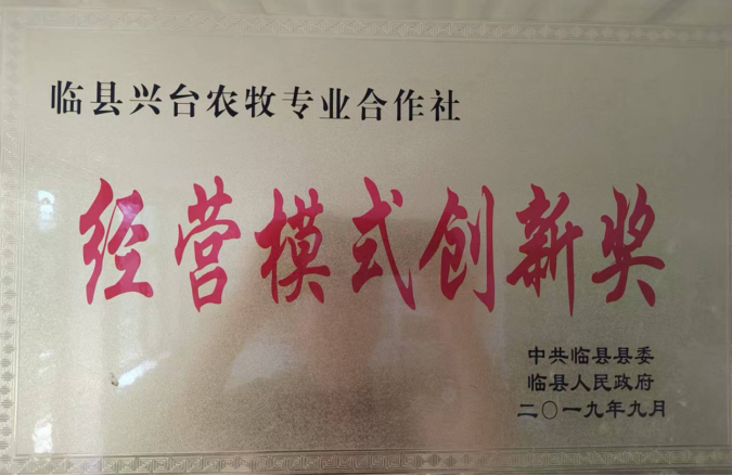 吕梁山下枣林焕新 农旅融合铺就新程 ——山西临县乡村振兴的“古枣密码” 《中华英才》半月刊网山西讯(张振华)362.png