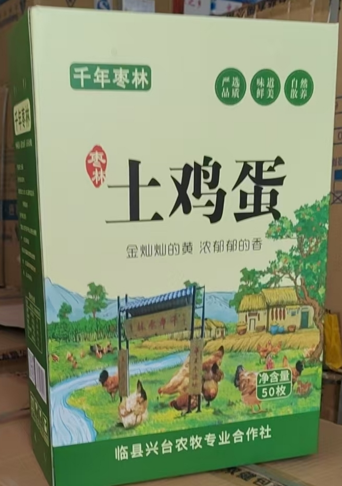 吕梁山下枣林焕新 农旅融合铺就新程 ——山西临县乡村振兴的“古枣密码” 《中华英才》半月刊网山西讯(张振华)1483.png