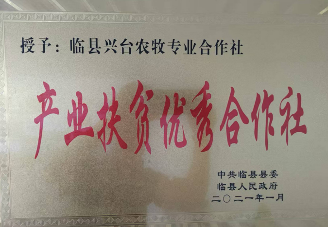 吕梁山下枣林焕新 农旅融合铺就新程 ——山西临县乡村振兴的“古枣密码” 《中华英才》半月刊网山西讯(张振华)1177.png