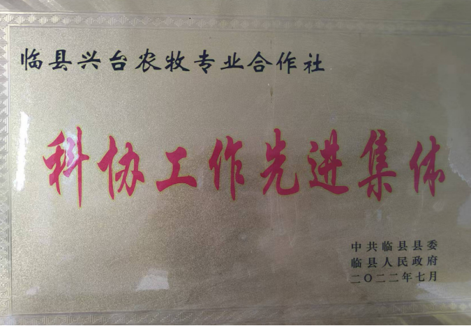 吕梁山下枣林焕新 农旅融合铺就新程 ——山西临县乡村振兴的“古枣密码” 《中华英才》半月刊网山西讯(张振华)563.png
