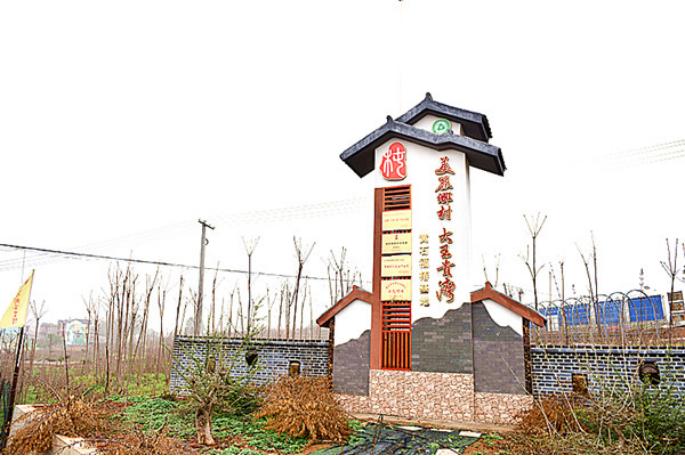 黄石大王镇贵湾村:雨润荷池白鹭归 硕果盈枝幸福来740.png