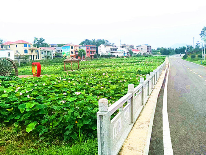 黄石大王镇贵湾村:雨润荷池白鹭归 硕果盈枝幸福来1601.png