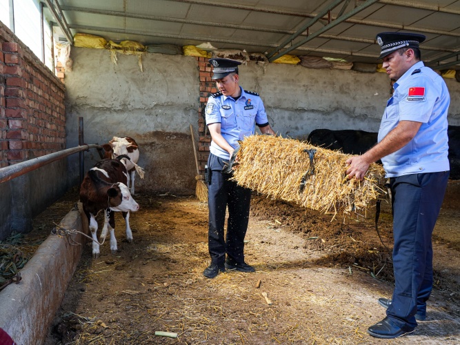 民警进村落帮助牧民干农活、喂牲畜.jpg