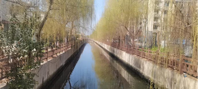 江苏省盐城市亭湖区黄尖镇新街社区786.png