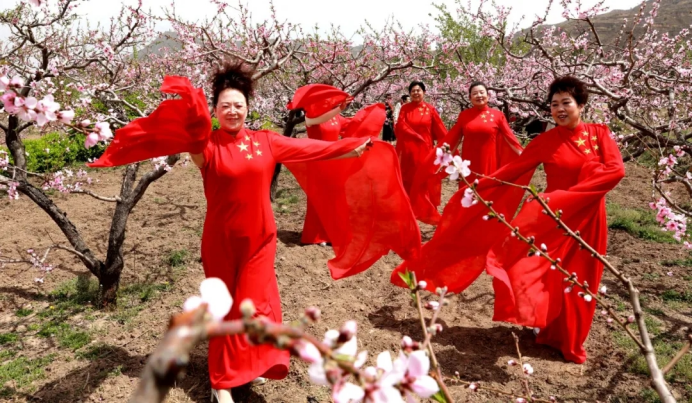 太谷桃花节993.png