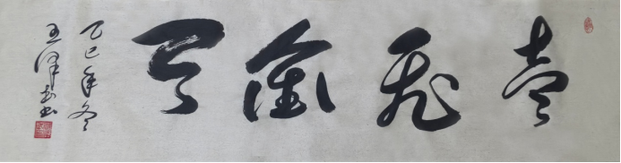 墨藏天地•笔写人生——王泽武老师书法作品集3018.png