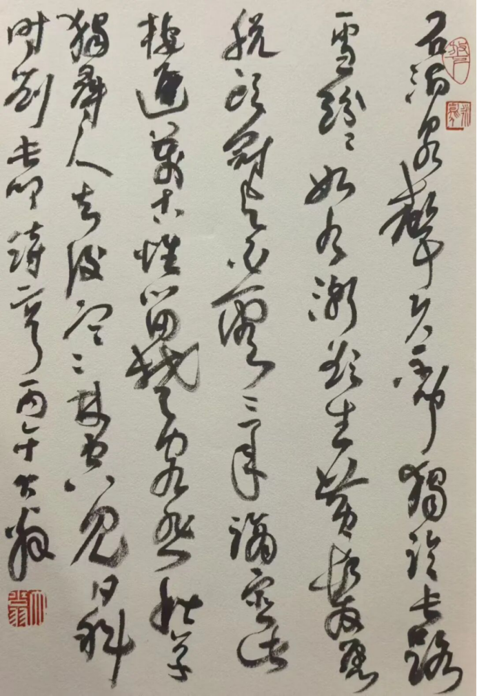 大翁11384.png