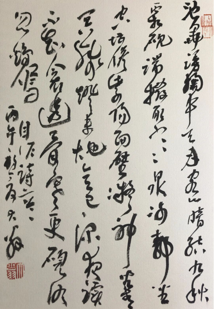 大翁11385.png