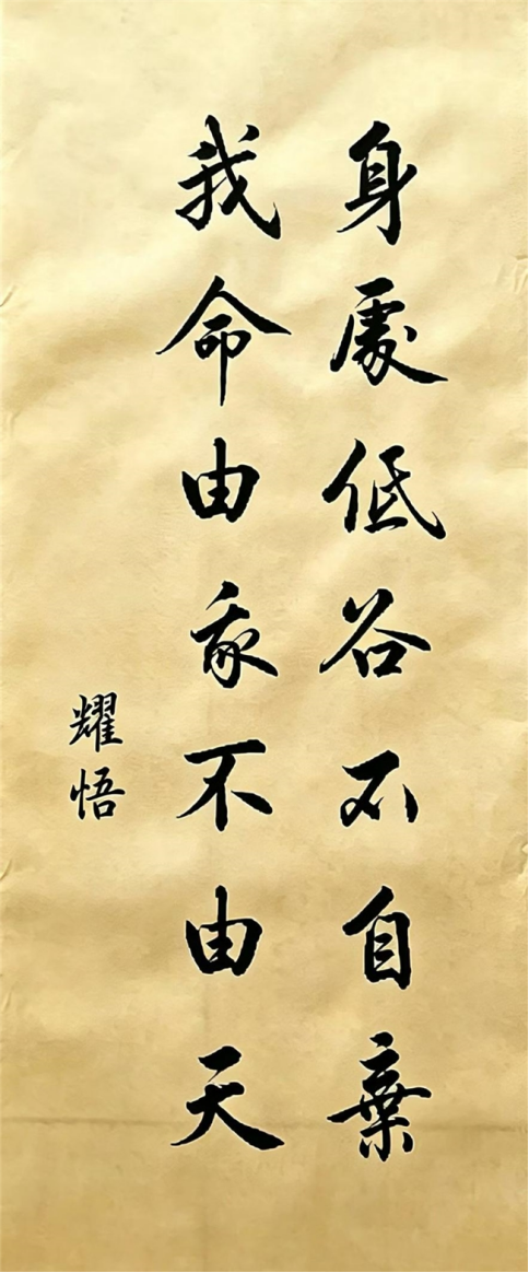 杨晓遇 461.png