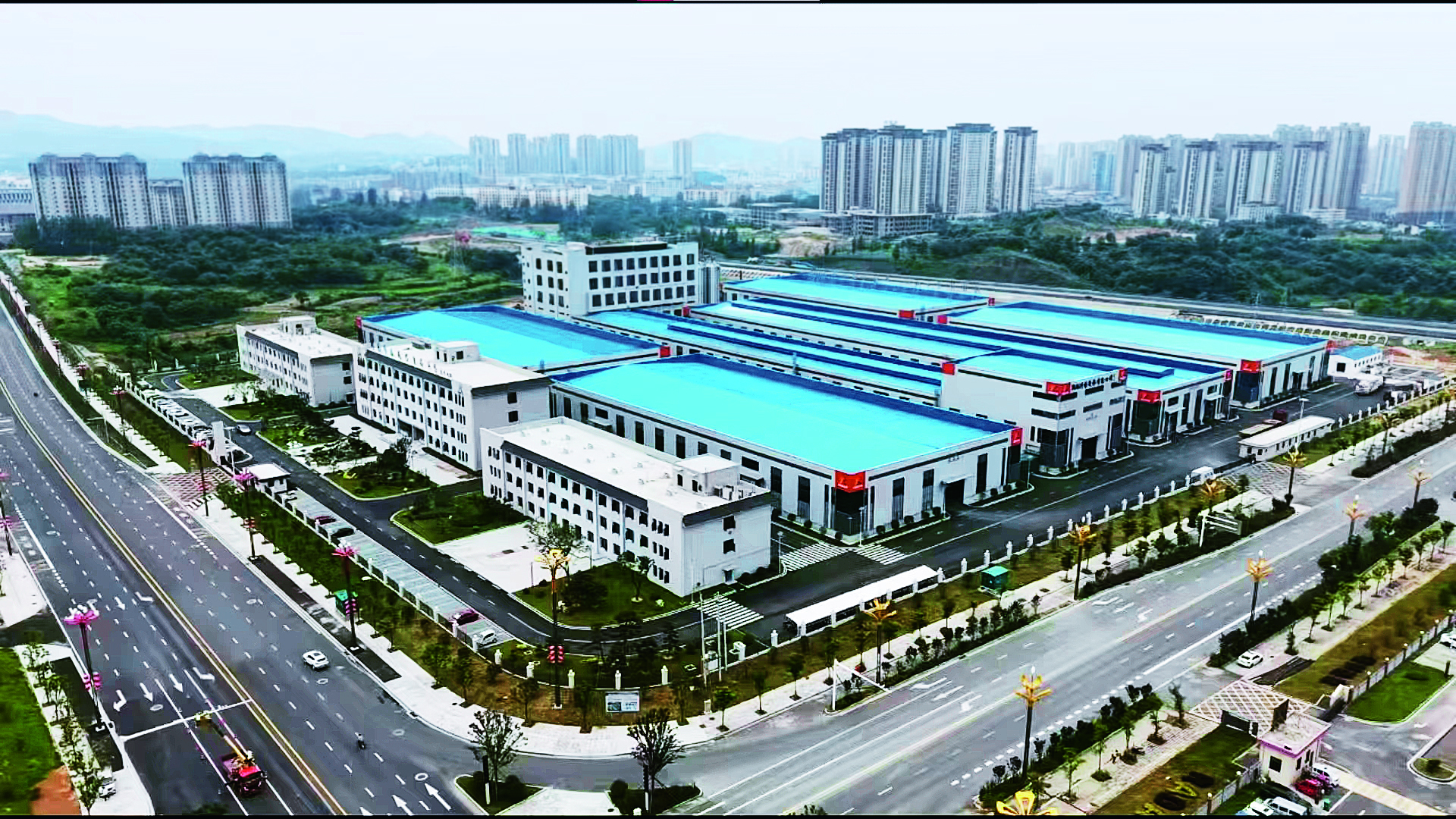杨琪2.jpg