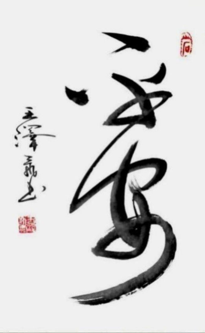 王泽飞——中华英才1265.png