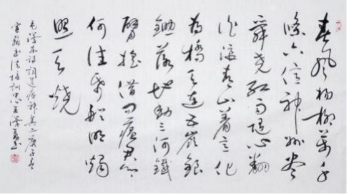 王泽飞——中华英才1211.png