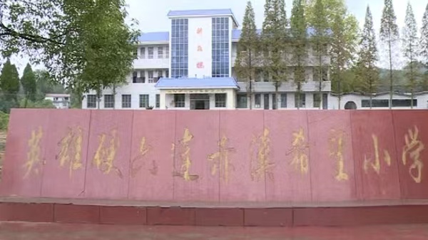 1785398132231003.jpg 微信图片_20260730155451_478_23.jpg