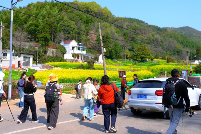 金岭社区集体经济一路生花975.png